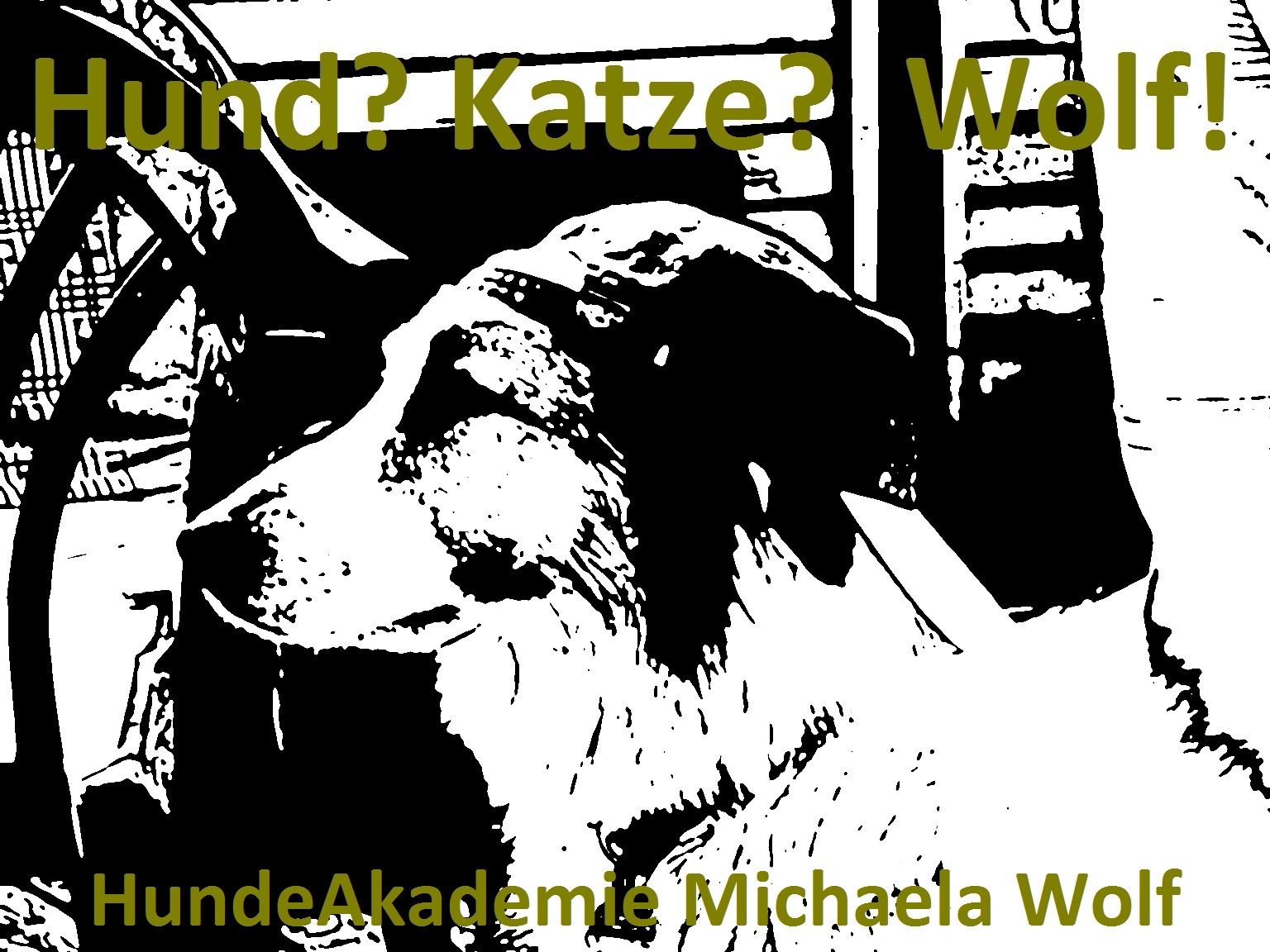 Hundeseminar