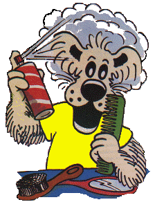 www.hundesalon-idensen.de