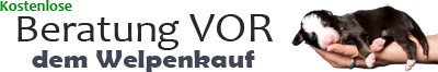 Beratung vor dem Welpenkauf